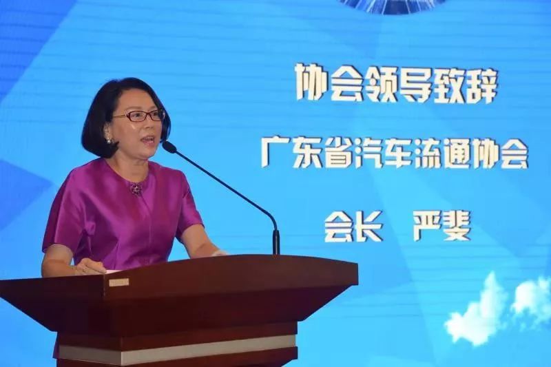 广东新能源汽车专业委员会成立，闪电个车创始人任副主任 国内资讯 第4张