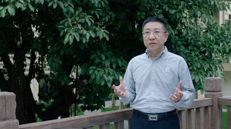 马爹利在中国启动红树林保护项目 新闻资讯 第3张