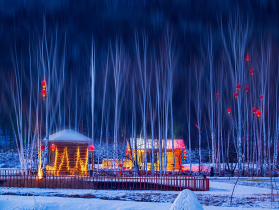 黑龍江冰雪旅游產業發展指數暨2021年冬季旅游產品點亮“羊城”廣州 國內資訊 第12張