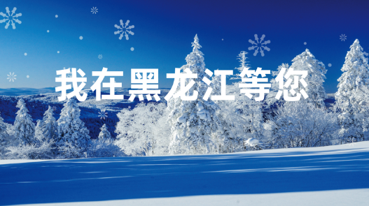 黑龍江冰雪旅游產業發展指數暨2021年冬季旅游產品點亮“羊城”廣州 國內資訊 第13張