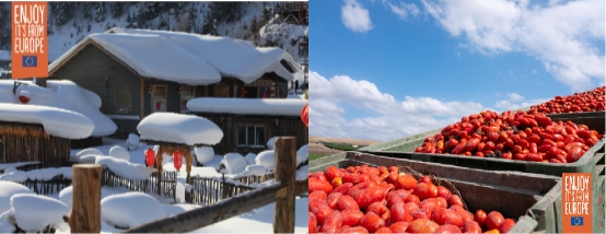 ​ 对抗寒冬，需要一点“红金”营养