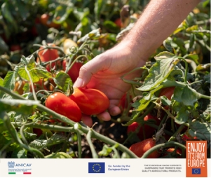 ​ 对抗寒冬，需要一点“红金”营养 新闻资讯 第5张