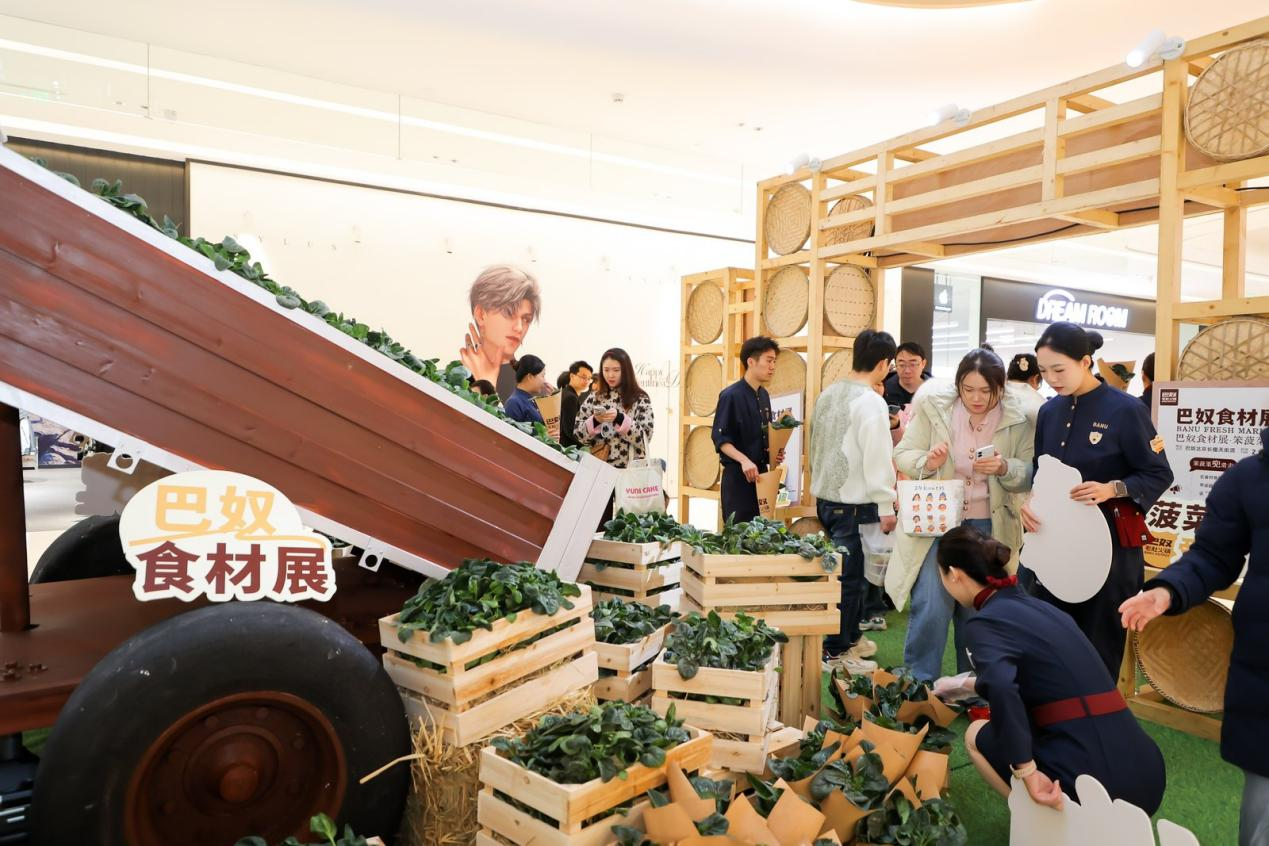 巴奴“笨菠菜”甜出圈：一场从田间到商圈的乡村振兴实践 新闻资讯 第1张