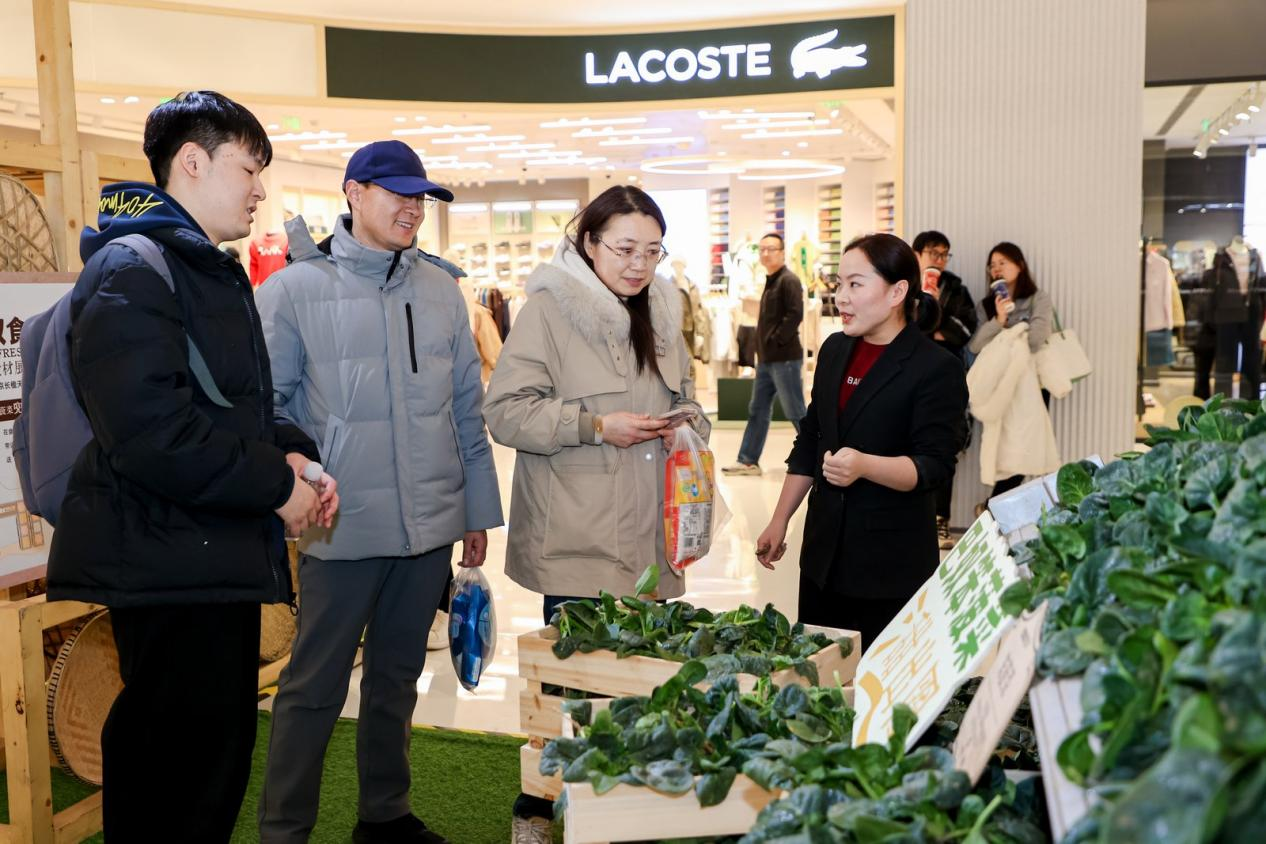 巴奴“笨菠菜”甜出圈：一场从田间到商圈的乡村振兴实践 新闻资讯 第2张