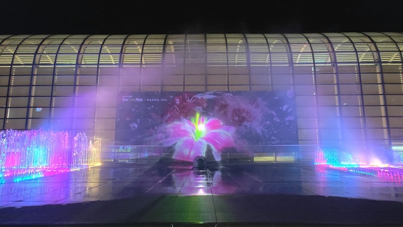 香港沙田新城市广场「花开结缘·风生水起」迎新春   新闻资讯 第3张