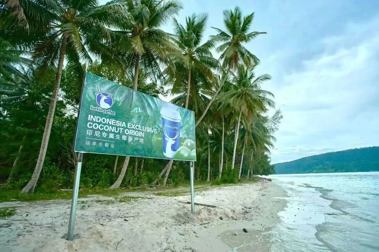 8年3万店，瑞幸给中国咖啡织了三张网 新闻资讯 第7张