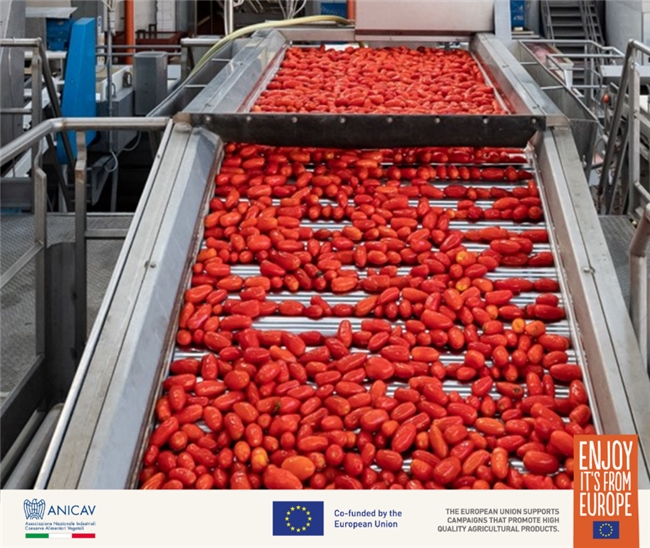  欧洲红金・臻藏番茄 年度推广盛典全纪实 新闻资讯 第2张 欧洲红金・臻藏番茄 年度推广盛典全纪实 新闻资讯 第2张