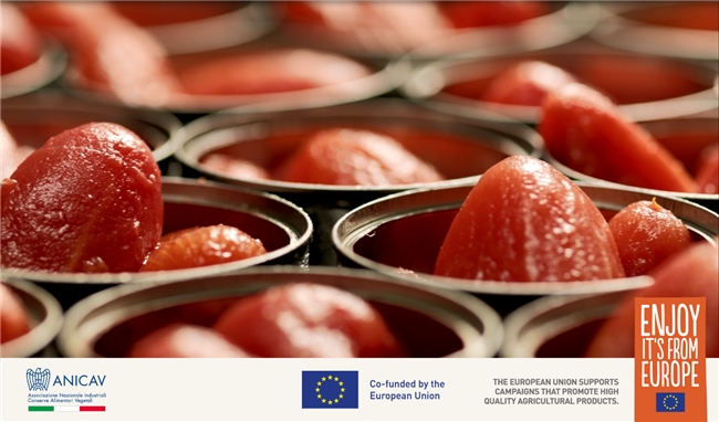  欧洲红金・臻藏番茄 年度推广盛典全纪实 新闻资讯 第6张 欧洲红金・臻藏番茄 年度推广盛典全纪实 新闻资讯 第6张