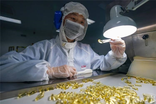 央视曝光"假洋货"后如何从“出身”选优质灵芝孢子油 健康养生 第2张