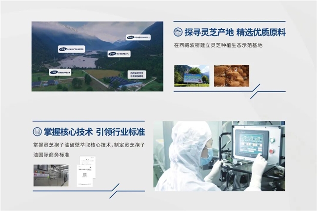 央视曝光"假洋货"后如何从“出身”选优质灵芝孢子油 健康养生 第3张