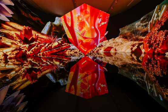 BOE(京东方)赋能横琴-澳门国际数字艺术博览会  联合OPPO 打造“BOE 原生OLED通透显示”空间 国际会展 第4张